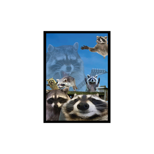 Silly Raccoon Poster